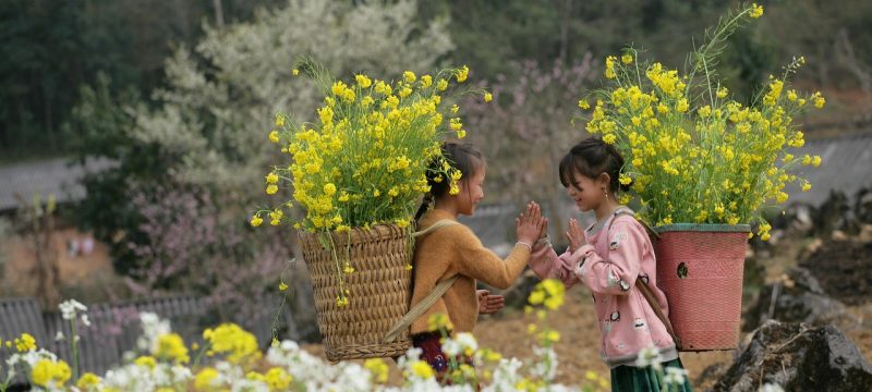 桃花族thz论坛精华区界面截图，展示精华帖列表、版主评分标签和帖子标题，界面整洁条理清晰