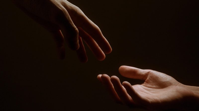 桃花族thz论坛 本次评测的编辑与研究团队
